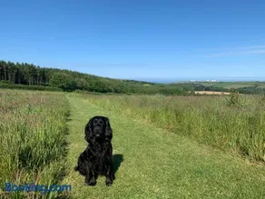 Pentire Coastal Holiday Park - Image 3