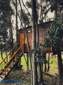 Casa en el Árbol Guatavita - Image 4