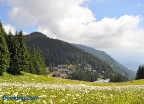 Apartment MOUNTAIN BLOOM Golte - Image 2