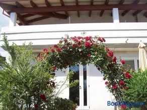 B&B Kazakova - Image 1