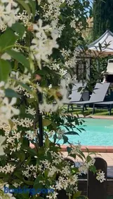 RelaxHomeHoliday - Image 2
