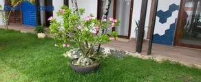 Villa Atalaia - Image 2