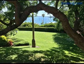 Elizabeth Bay Marina Apartment - Image 5