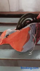 Nuevo Ciclo - Image 2