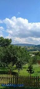 Azienda agrituristica La Borgaccia - Image 1