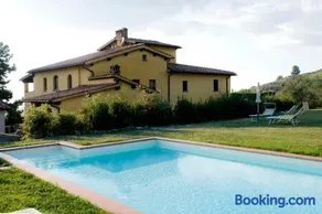 Il Bellini - Image 1