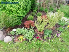 Pālena apartamenti - Image 3