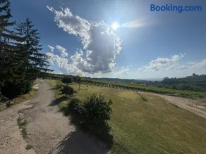 Langhe da cartolina - Image 1