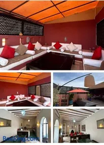 Riad Hammou - Image 4