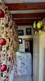 Trulli delle succulente - Image 2