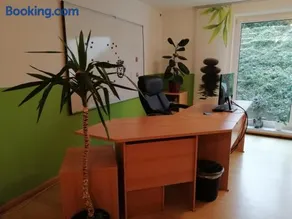 Appartement Borger mit Garten - Image 4