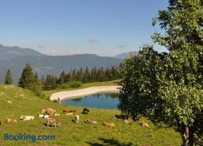 Apartment MOUNTAIN PEARL Golte - Image 3