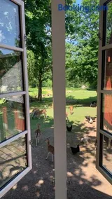 Damwildfarm in Rollerbü Südschweden - Image 4