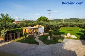Cozy flats in an olive grove by the sandy beach - Image 3