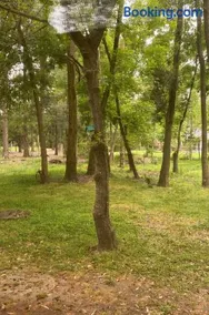 Quinta en el Bosque - Image 2