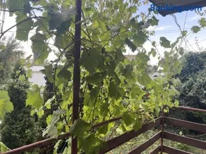 Hostel Drenak - Image 4