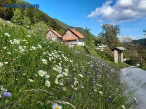 Miklavževa hiša with a bread oven - Image 3