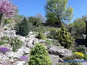 La Jouvencière *** - Image 5
