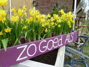 B&B Aan de Fjildwei - Image 2