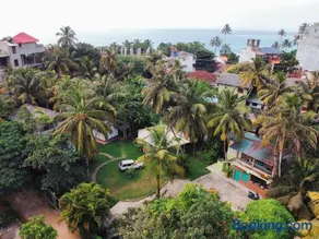 Mi Surf Hostel Mirissa - Image 3