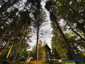 Chalet privé sur presqu'île - aucun voisin - bord de l'eau - Image 1