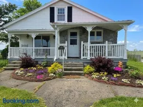 Peaceful Pasture Farm - Image 4