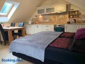 Studio z kominkiem Sauna Jacuzzi Balia Ogrodowa - Image 3