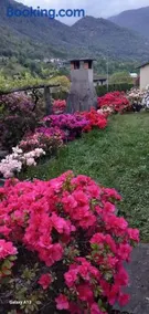 Casa Camelia - Image 4