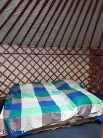 Yurt 't Steppenhuisje - Image 4
