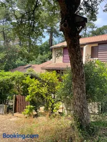 Réf 213 , Seignosse océan, Villa Patio classée 2 étoiles au calme, famille, proche plage - Image 2