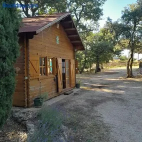 La cabane en bois - Image 1