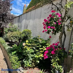 EVASION DE LOIRE - Image 2