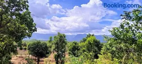 Entire Private Farm on Rent 2 Acre with 3 Room, it's Kittu's Farm - Image 3