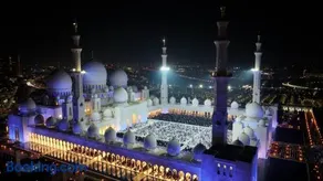 Top House Zayed Airport - Image 3