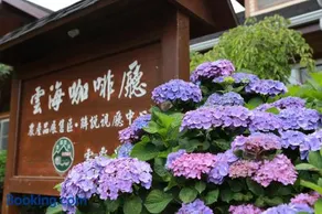 雪霸休閒農場 Sheipa Leisure Farm - Image 3