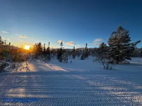 Hedsjövägen 23 med 350m sandstrand - Image 2