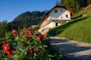 Turistična kmetija Perk - Image 2