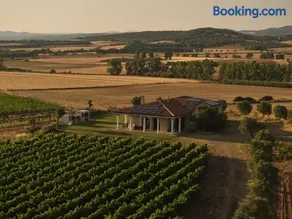 Villa Colle dei Vigneti - Sardinian Vineyard Estate - Image 1