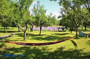 Casa rurală cu livadă LavAndra - Image 1