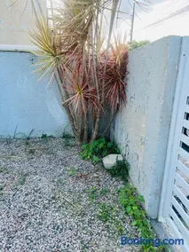 Floripa ingleses - Image 1