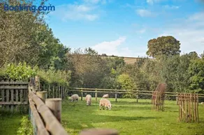 2 Bed in Hanley William oc-d30115 - Image 4