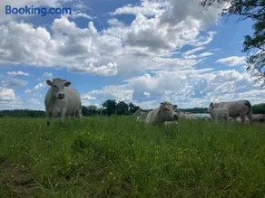 Gîte à la campagne au bord d'un Lac 8 personnes - Image 4