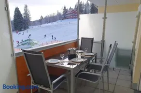 Enjoy Ferienwohnung Feldberg Grafenmatt - Image 3