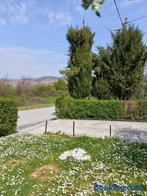Mitrovića kuća - Image 4