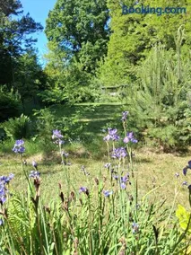 Bungalow im Künstlergarten - Image 3