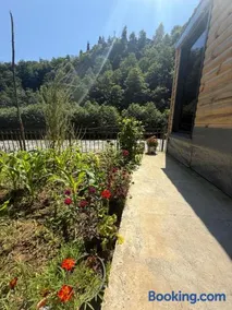 Elfida Tinyhouse - Image 4