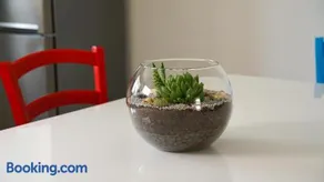 Apartment Aria - Image 2