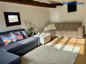 Paloma - Image 3