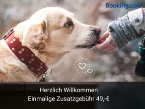 Kleine einzigartige Ferienwohnung auf dem Bauernhof, direkt in der Natur mit Blick auf Schloss Braunfels - Image 3