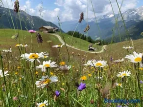 Appartament Anna 4 - Image 1